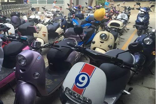 电动自行车 新国标 发布,鹿寨人的 电驴 还能上路吗
